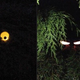 Illustration for article titled Scare Your Neighbors With These DIY Halloween Decorations